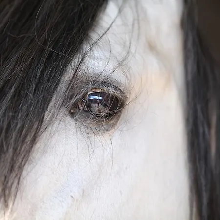 Saint Georges Ferienhaus Comines-Warneton