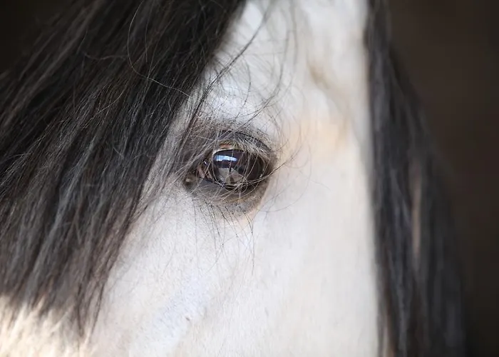 Saint Georges Ferienhaus Comines-Warneton