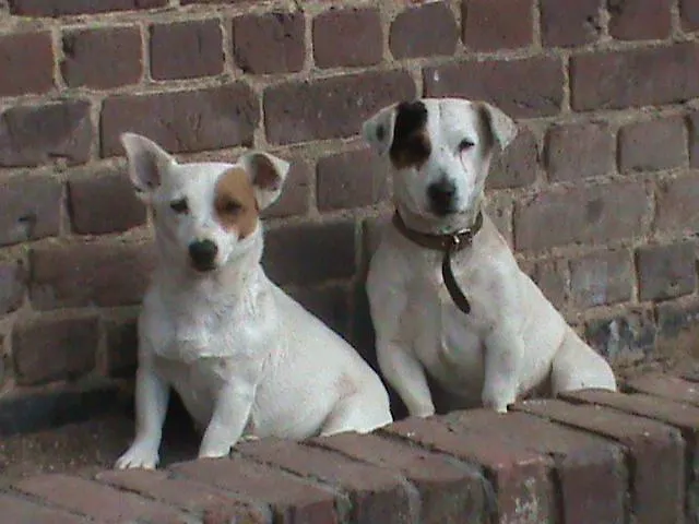 Hébergement de vacances Saint Georges *